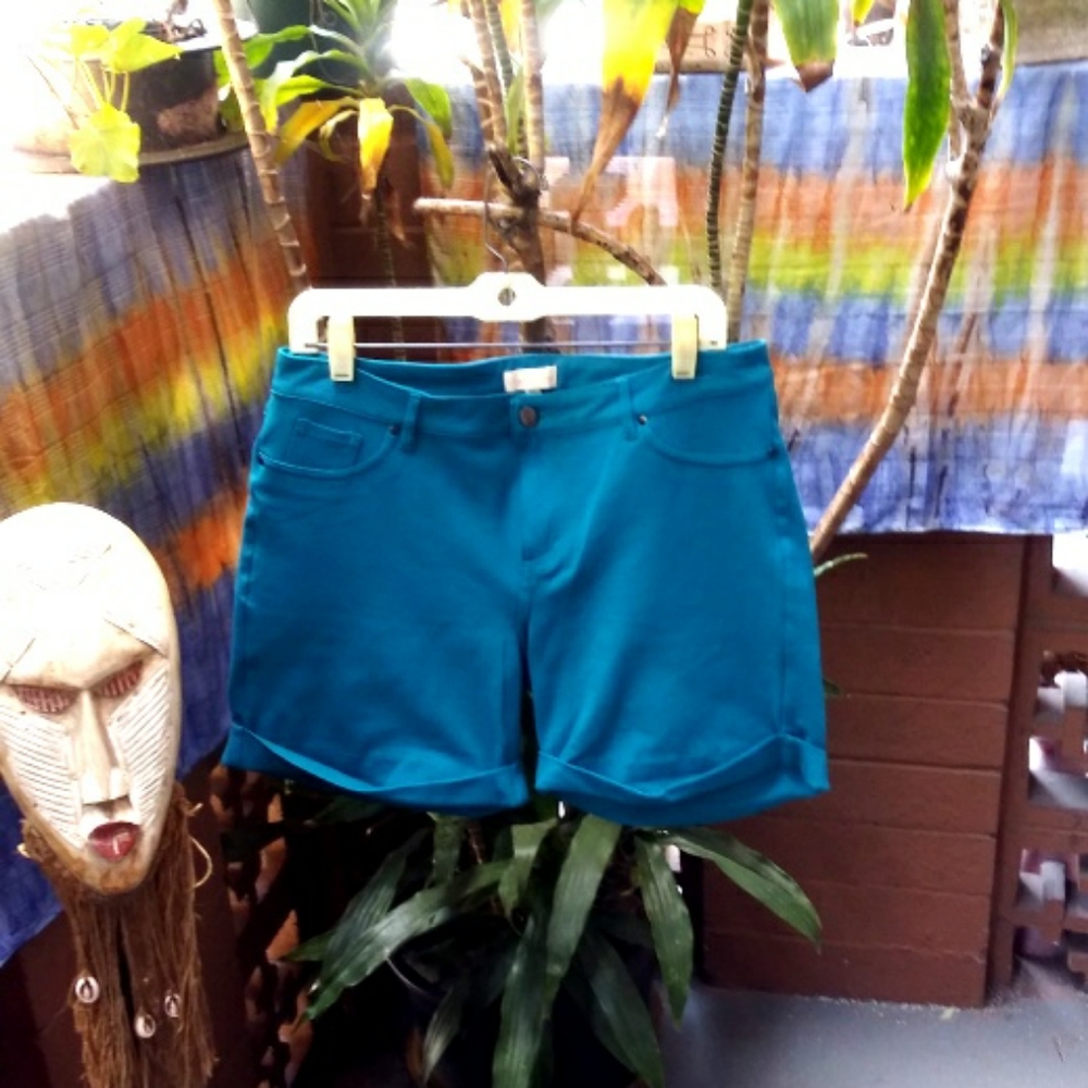 Check It Out plus Size Shorts